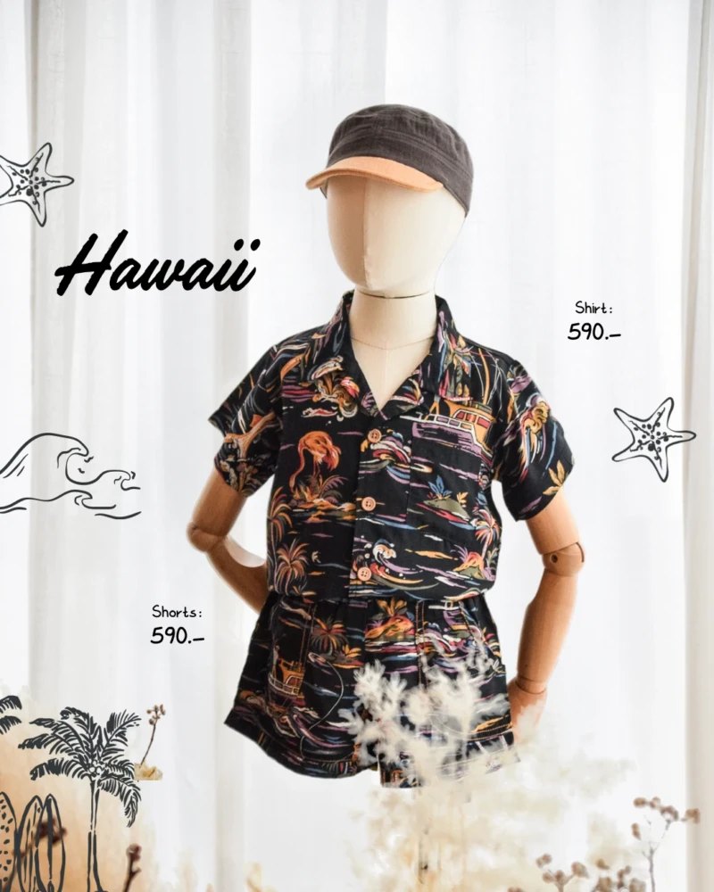 Shirt & Shorts - Hawaii Style