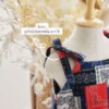 Family Set - Paisley in blue red