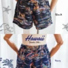 Shirt & Shorts - Hawaii Style